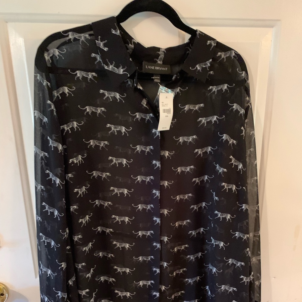 Shear blouse